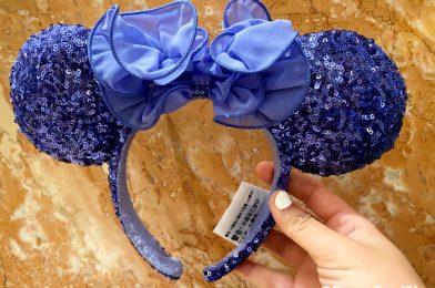 Must-Buy or a Total PASS! What Do You Think of Disney World’s Newest Ears?