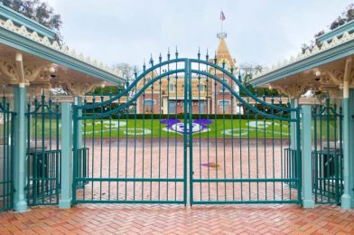 No SCREAMING in Disneyland? Here’s What’s Being Said.