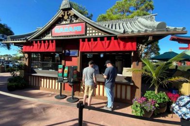 Review: It Took Us Longer to Take Pictures Than It Did to Eat This EPCOT Booth’s Food!