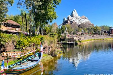 Celebrate Expedition Everest’s BIG Birthday with NEW Merch