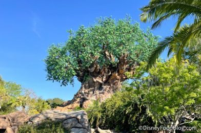 What’s New at Disney’s Animal Kingdom: A Yeti Spirit Jersey, A Very Confusing Treat, and More!