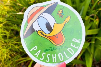 D23 Gold Members: Find Out How to Score a FREE Magnet!