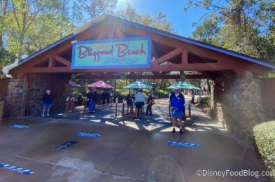 Here’s What It’s Like to Wear a Mask in a Disney Water Park All Day!