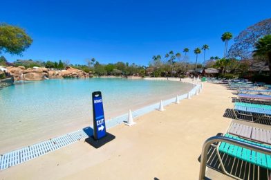 Will the Weather Make Disney’s Water Park Reopening a Literal ‘Blizzard Beach’ Tomorrow?