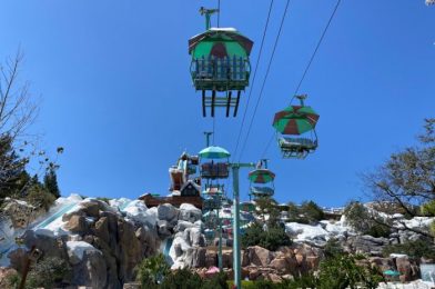 REVIEW: A Frozen Slush Was the ‘Cherry’ on Top of Our Day at Disney’s Blizzard Beach!