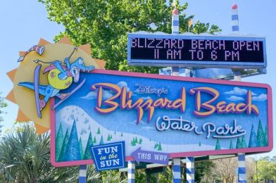 We’re LIVE From the Blizzard Beach Reopening at Walt Disney World!