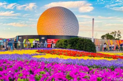 Spot Your Favorite Disney Characters in EPCOT — For a PRIZE!