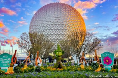 Next Week Brings Warm and Windy Weather to Disney World!