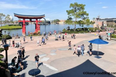 Get Souvenirs Around the World Without Ever Going to EPCOT!