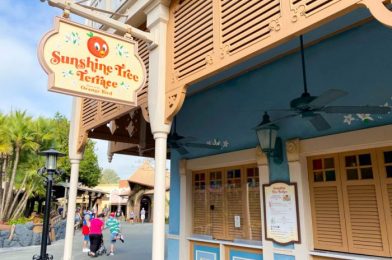 Your Dole Whip Photo Just Got SO Much Better in Disney World