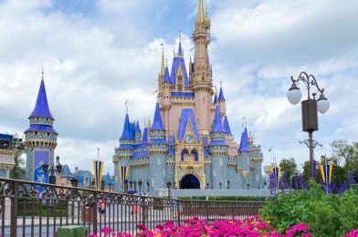 MORE Park Passes Added For This Spring in Disney World