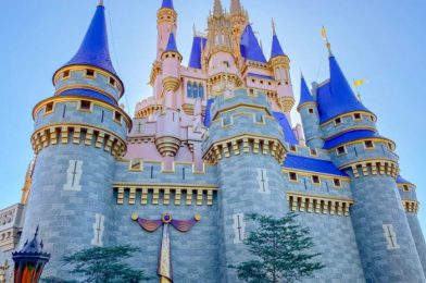 PHOTOS! 50th Anniversary Decor ALREADY on Cinderella Castle in Disney World!