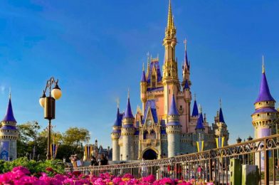 NEWS: Disney World Offers Payment to Cast Members for Receiving COVID-19 Vaccine