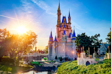 Construction Walls Are UP at a Disney World Snack Stand!