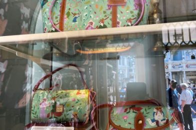 Disney’s ‘Robin Hood’ Dooney & Bourke Bags Are Now Online!