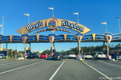 Disney CEO Comments on the Future of the Reservation System and More