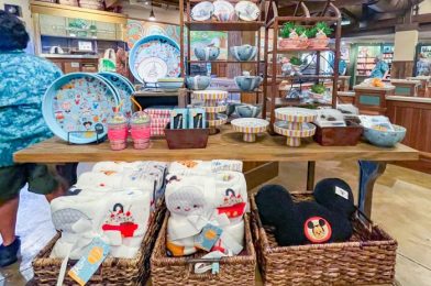 ALERT: We Found A New Disney World Souvenir For MUCH Cheaper Online!