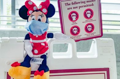 Face Mask Reminder Stickers Added to Photo Spots in Disney World