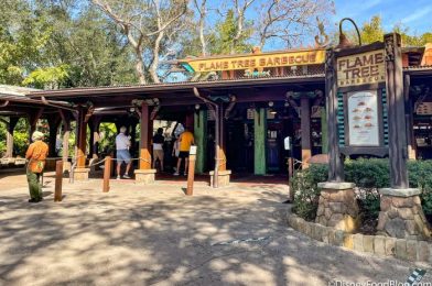 Review: It’s Officially Carrot Cake Season in Disney World (And We’re Not Complaining One Bit)!