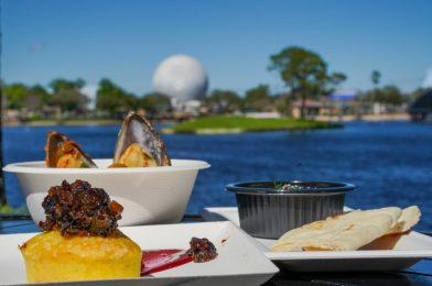 REVIEW: Taste of Marrakesh Is Tasteless at the 2021 Taste of EPCOT International Flower & Garden Festival