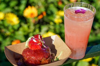 REVIEW: Papa Cakes and Tang Dynasty Cocktail Debut at Lotus House for the 2021 Taste of EPCOT International Flower & Garden Festival