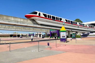 Both Monorail Lines Are DOWN in Disney World