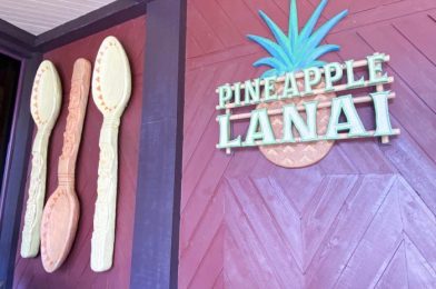 The Dole Whip Combo We Never Knew We Needed in Disney World