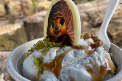 There’s Two NEW Ice Cream Treats at Disney’s Animal Kingdom – Which One Should You Get?