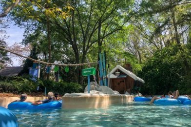 Which Is Better? – The Pros and Cons of Volcano Bay and Blizzard Beach