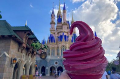 Alert! There’s A NEW Flavor of Dole Whip at Magic Kingdom