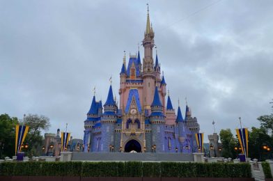 PHOTOS: New Day, New Decorations – Bunting Added, Turrets Painted on Cinderella Castle for the 50th Anniversary of Walt Disney World Continues