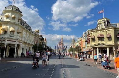 PHOTOS – The First Signs of the WDW 50th Anniversary Celebration Have Arrived at Magic Kingdom