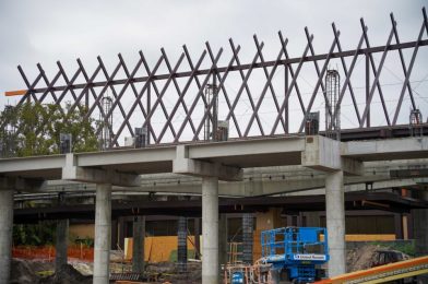 PHOTOS: New Monorail Platform Installation Underway at Disney’s Polynesian Village Resort