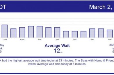 Pretty Slow Day – Disney World Wait Times for Tuesday, March 2, 2021