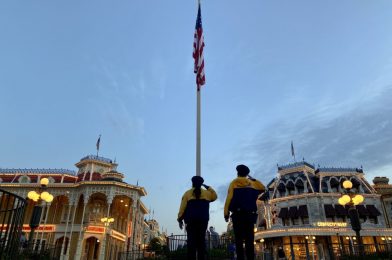 PHOTO REPORT: Magic Kingdom & Disney Springs (TRON Canopy Structure Complete, Peter Pan’s Flight Sign Removed, New Boozy Bourbon Bunny, and More)