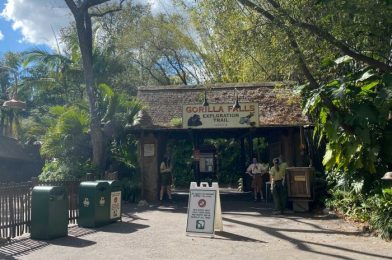 PHOTOS – A Quick Recap of What’s New at Animal Kingdom