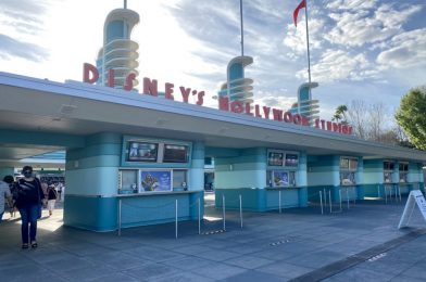 PHOTO REPORT: Magic Kingdom & Disney’s Hollywood Studios 3/12/21 (Second 50th Anniversary Decor Piece Arrives, New “Secret Sauce” at Spring Roll Cart, New Paint Can Cake Dessert, and More)