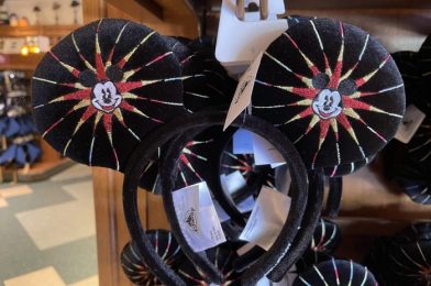 PHOTOS – Jerrod Maruyama Cute Disney Parks Merch, DCA Wheel Icon Mouse Ears, and Raya and the Last Dragon Items Arrive at Disneyland Resort