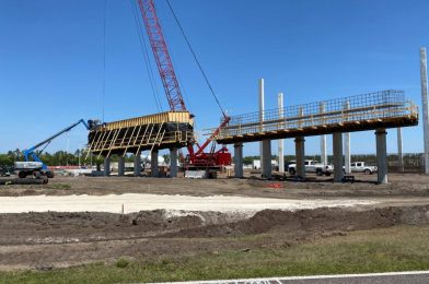 PHOTOS: Ramps Begin to Take Shape as Phase 2 of Roadwork Progresses Near the Magic Kingdom