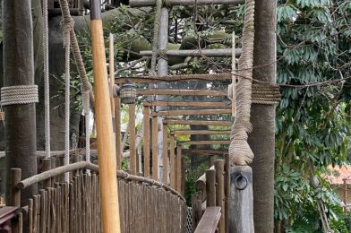 PHOTOS: Canopy Netting Replaced on Swiss Family Treehouse Entrance Bridge at Magic Kingdom