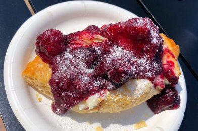 FIRST LOOK – Some of the Food Finds at the 2021 EPCOT International Flower and Garden Festival (Part 1)