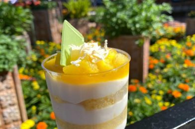 FIRST LOOK – Some of the Food Finds at the 2021 EPCOT International Flower and Garden Festival (Part 2)