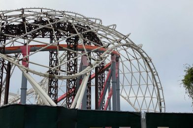 PHOTOS: Temporary Supports Being Removed as Work Concludes on Canopy Frame for TRON Lightcycle Run at Magic Kingdom