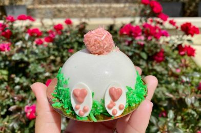 REVIEW: Limited-Time Bunny Mousse Dome Hops into Amorette’s Patisserie at Disney Springs