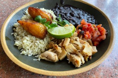 REVIEW: Plant-Based Jackfruit Rice Bowl at Thunder Falls Terrace in Universal’s Islands of Adventure