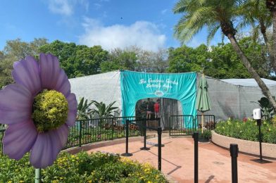 What’s Different About the Butterfly Garden Exhibit at EPCOT This Year