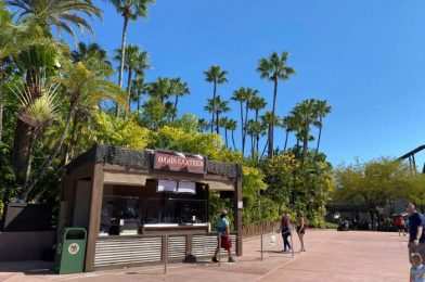 REVIEW – Oasis Canteen is the Perfect Stop for a Drink at Hollywood Studios