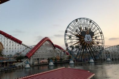 Dining Reminder: Reservations for Lamplight Lounge in Disney California Adventure Are OPEN