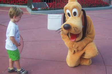 How a Reluctant Travel Companion Became a Real Disney Fan