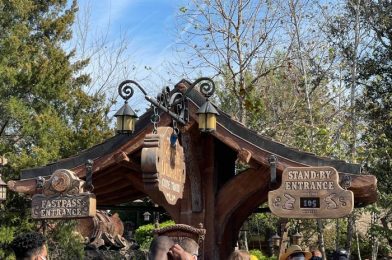 There’s a NEW Procedure for Waiting in Line at Seven Dwarfs Mine Train